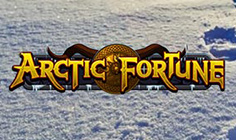 Arctic Fortune