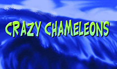 Crazy Chameleons