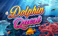 Dolphin Quest