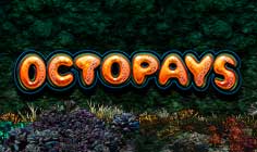 Octopays