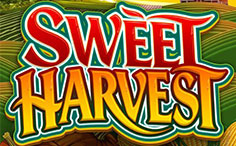 Sweet Harvest