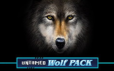 Untamed Wolf Pack