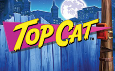 Top Cat