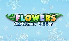 Flowers (Christmas Edition)