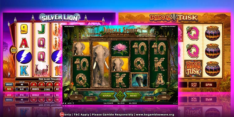 Play Jungle-Themed Slots