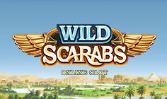 Wild Scarabs