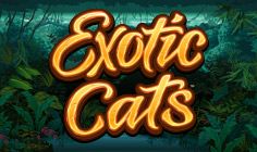 Exotic Cats