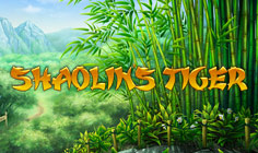 Shaolin’s Tiger