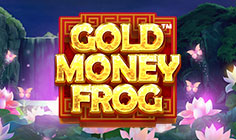 Gold Money Frog