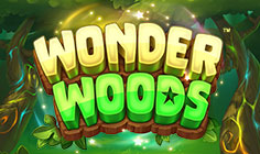 Wonder Woods