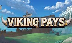 Viking Pay