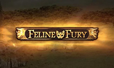 Feline Fury