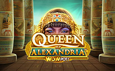 Queen of Alexandria Wow Pot