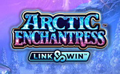 Arctic Enchantress