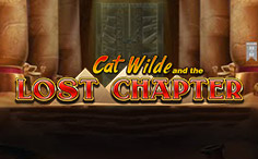 Cat Wilde and the Lost Chapter