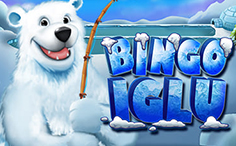 Bingo Iglu