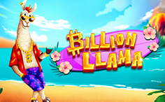 Bingo Billion Llama