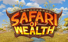 Safari of Wealth