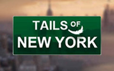 Tails of New York