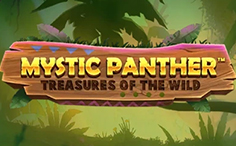 Mystic Panther Treasures of the Wild