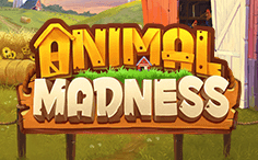 Animal Madness