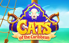 Cats of the Caribbean