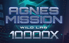 Agnes Mission Wild Lab