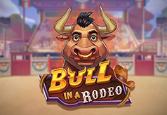 Bull in a Rodeo