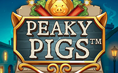 Peaky Pigs