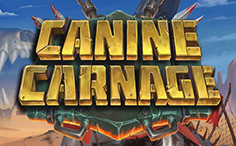 Canine Carnage