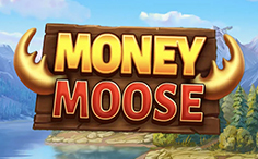 Money Moose