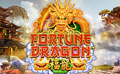 Fortune Dragon