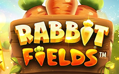 Rabbit Fields