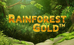 Rainforest Gold