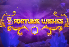 3 Fortune Wishes