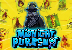Midnight Purrsuit