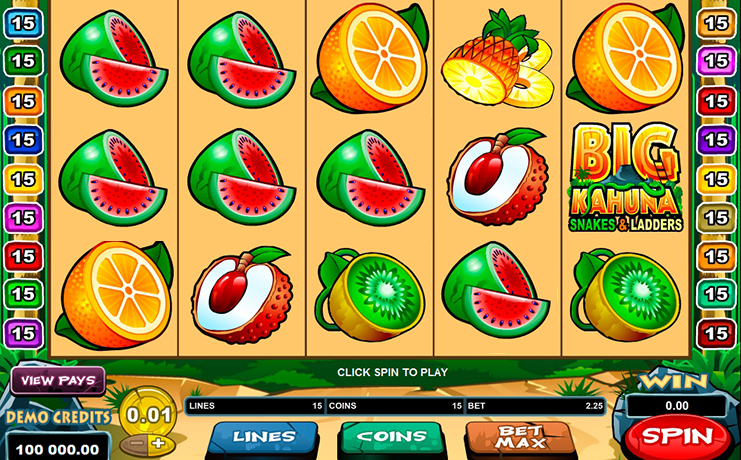 Big Kahuna – Snakes & Ladders